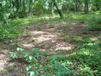 1 acre near Koroga Country Club Nyali