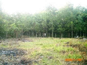 LAND to SELL in Phu Quoc Island Phu Quoc Island