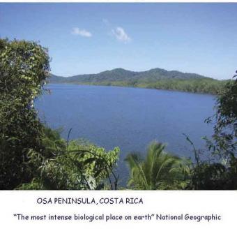 234 acre property in Osa San Jose