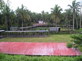 PHILIPPINES: CATTLE FARM FOR SAL Batangas