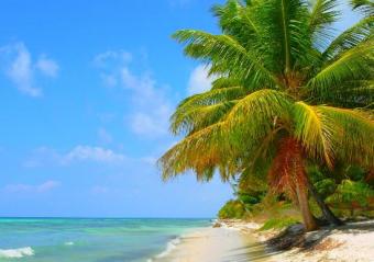 1 bedrooms luxury apartment Punta Cana