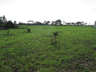 residential country lot, Anton