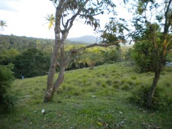 Land for sale in Choiseul Choiseul