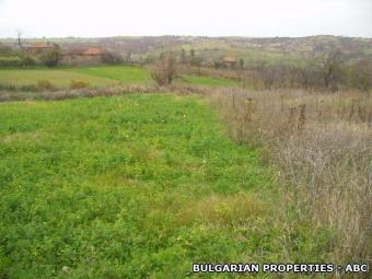 Land in Elhovo area. Elhovo Area