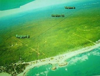 Lot For Sale Tulum 1250 sqm Tulum
