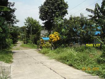 Residential  Lot in  Buhangin Davao