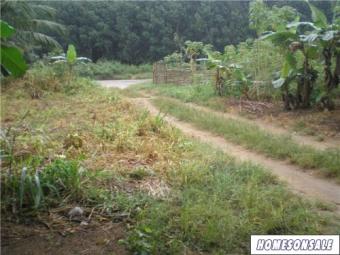 10 acres land nr Apimanim/Abusa Takoradi