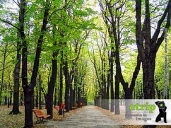 Iasi Copou Botanic Garden Iasi
