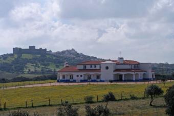 Vastgoed in de Alentejo Terena   �vora
