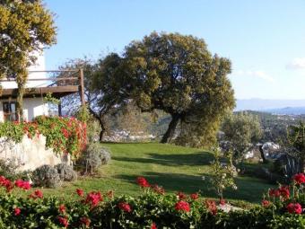 A house in Gumusluk Gumusluk Bodrum