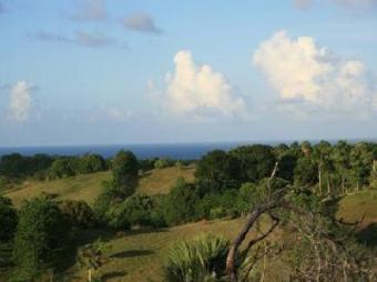 One of a few Sosua