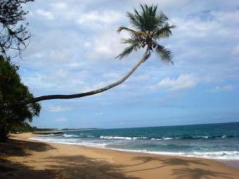 Beach Front Property Sale Tangalle