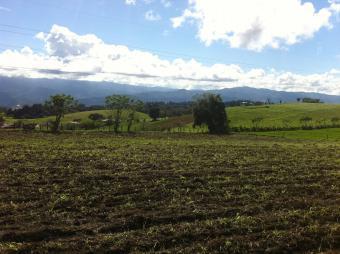 Finca en Cartago Cartago