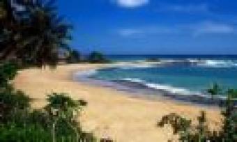 Land Sell Coxs bazar Cox Sbazar