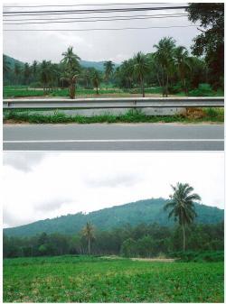 Land for sale in Eastern seaboar Rayong Province