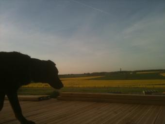 Enormous gorgeous manor house. Fontenay-le-comte