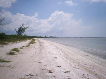 CELESTUN  FLAMINGOS BEACH LOTS Yucatan Celestun Beach