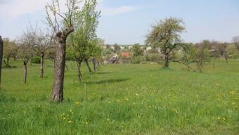 Family house district Krupina Cerovo