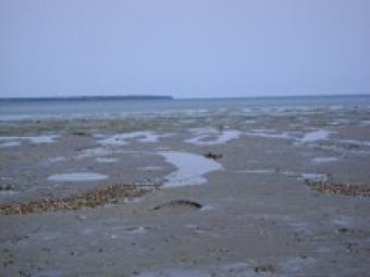 property beach front Mombasa