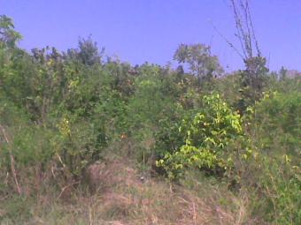 Plot in Malindi Malindi