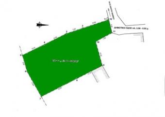 plot of land in Lakonia(itilo) Tripoli