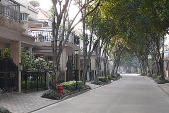 Sell Villa btw Macao & guangzho Net_coffee