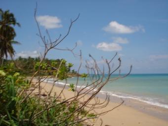 Great Land Close to Beach Ko Lanta Yai