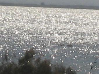 plot on the lake Karun Cairo
