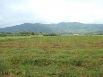 Chiang Rai Land for Sale Chiang Rai