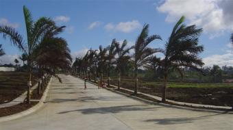 BALI in TAGAYTAY, Prime Lots. Tagaytay