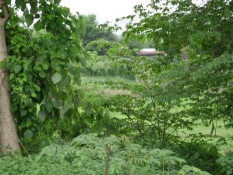 land 4 sell Rozales