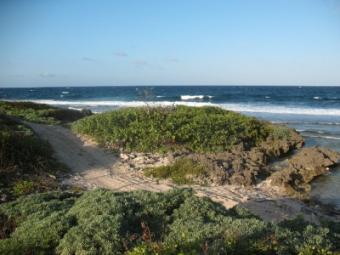 Beachfront - Swanix Bay - 2.33 A Utila