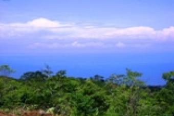 Hottest Deal in the Osa Region Uvita De Osa