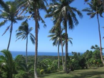 Fiji Dream Properties Taveuni Island