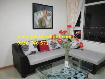 Saigon Pearl apartment for rent/ Hcmc