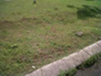 Rumah Kavling di Malang Malang