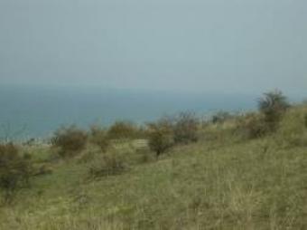 land in tyre Tyre