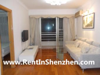 Luxury new decoration Apartment Shenzhen