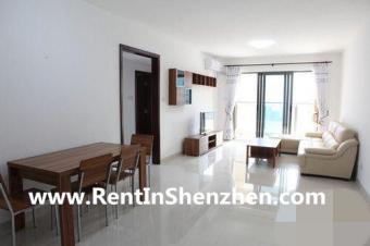 Shenzhen Apartment FuTian CBD/5m Shenzhen
