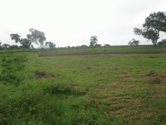 25 Hectares At Galadimawa Galadimawa