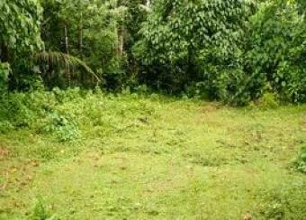 Bare Land with a peaceful envirn Kirillawala