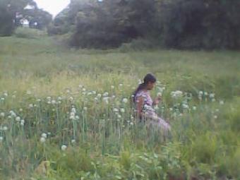 SOLD LAND 20P Kandy
