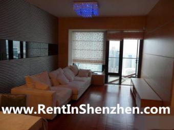 Shenzhen apartment,Near Mixc,Par Shenzhen