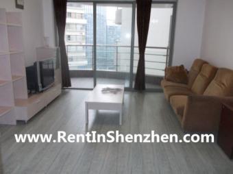 2011 New building,142sqm 3BR 550 Shenzhen