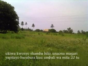 for sale Bagamoyo