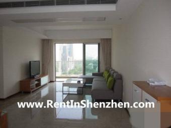 Mountain-View apartment,western Shenzhen