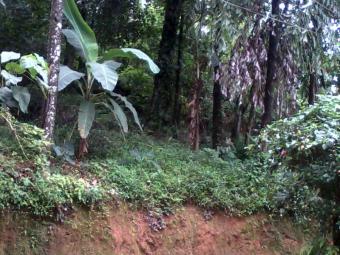 CHEEP BARE LAND -  Kandy