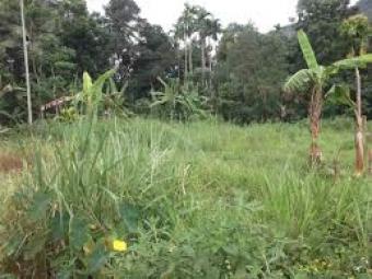 Plot of land Ongata Rongai Ongata Rongai
