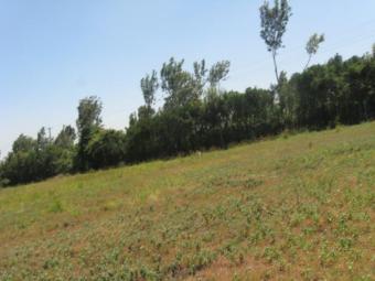 Plot of land Kiserian Kiserian
