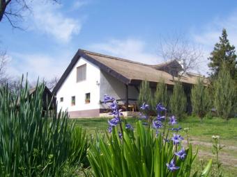 Eco farm Kecskem�t